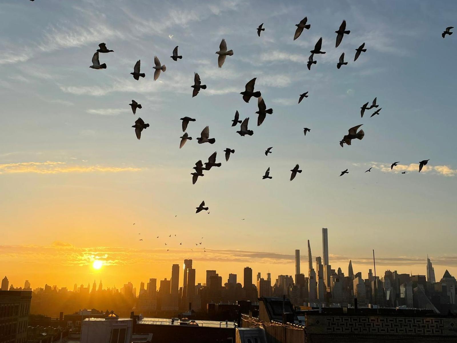 See Ny Now Sleeps 21 Union City Esterno foto